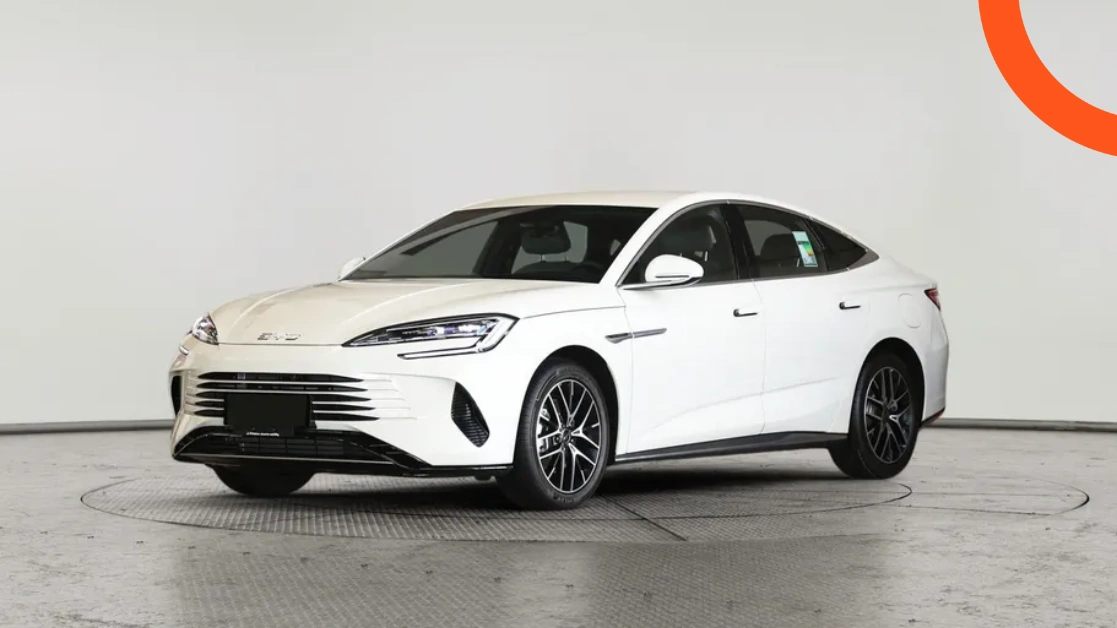 بي واي دي سيل 7 2026