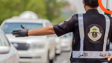 Traffic Violations Check in Saudi Arabia