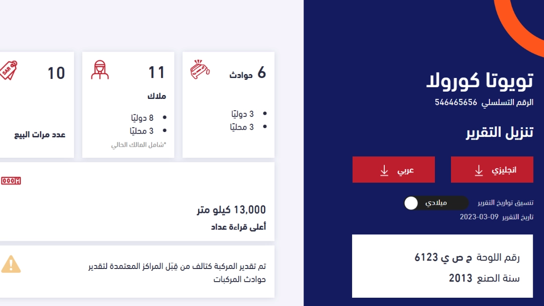 المعلومات التي يتضمنها تقرير موجز