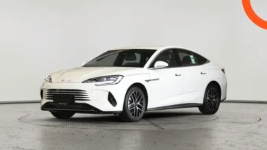 بي واي دي سيل 7 2026