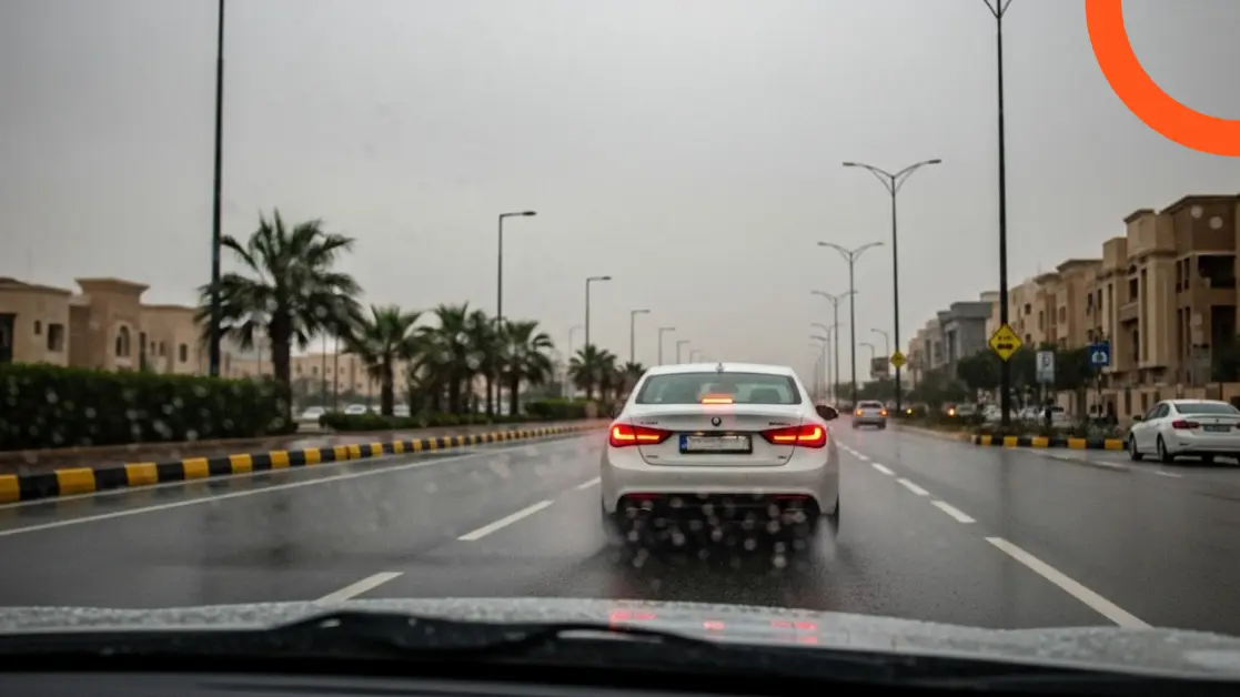 أهمية المسّاحات