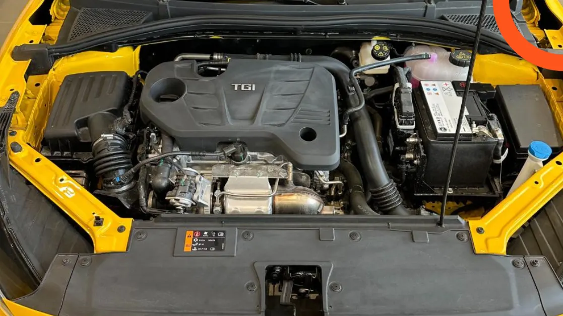 ام جي جي تي 2025