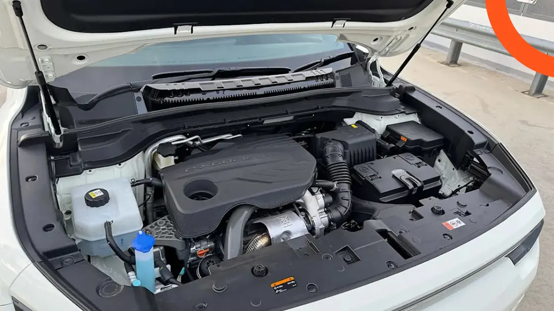 القوة والأداء