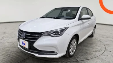 شانجان السفن 2025