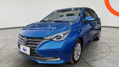 شانجان ألسفن