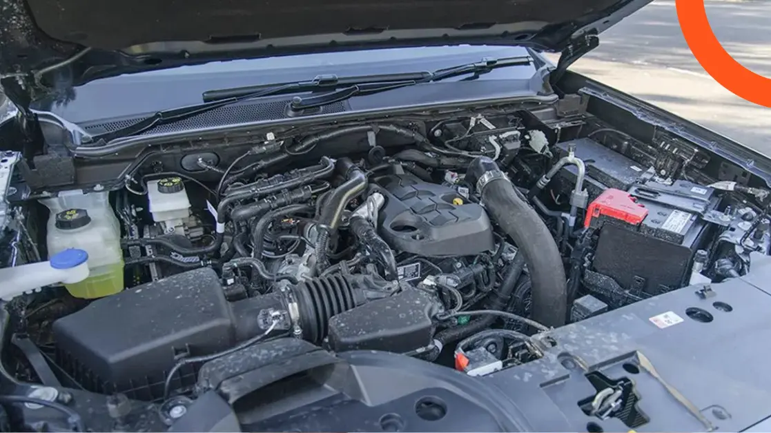 القوة والأداء