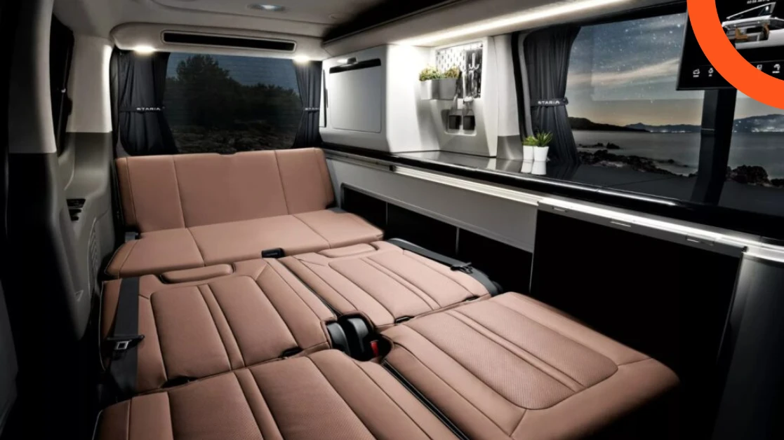 ستاريا كامبر