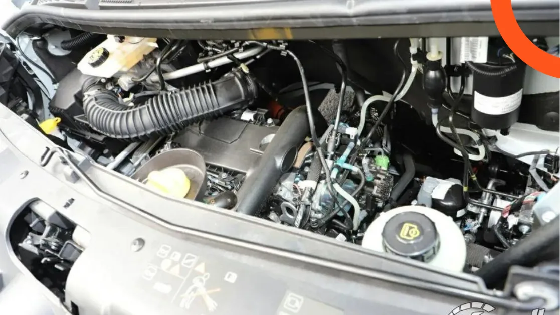 رينو ماستر 2026