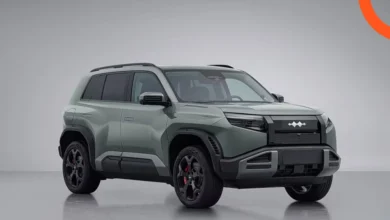 ليوبارد تاي 3 2026